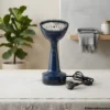 Garment steamer with brush head